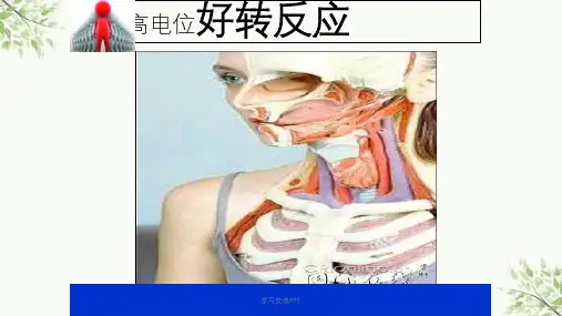 各种疾病坐高电位后好转反应医学课件