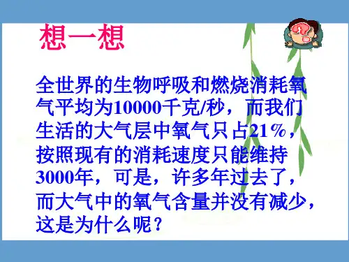 八年级生物第18章生态系统的稳定第二节