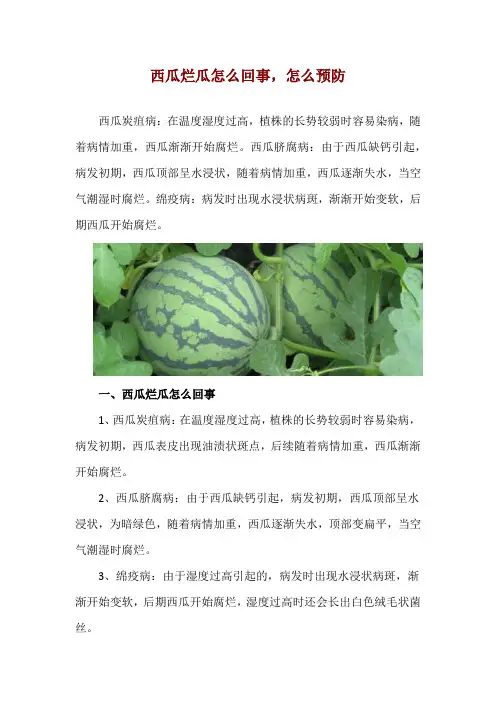 西瓜烂瓜怎么回事,怎么预防