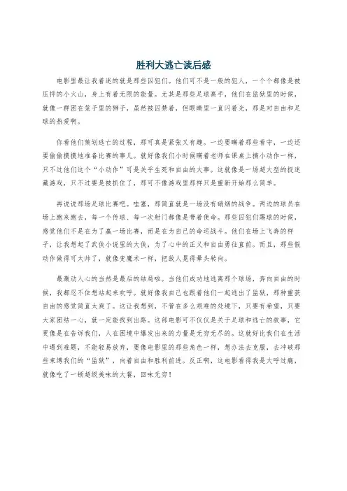 胜利大逃亡读后感
