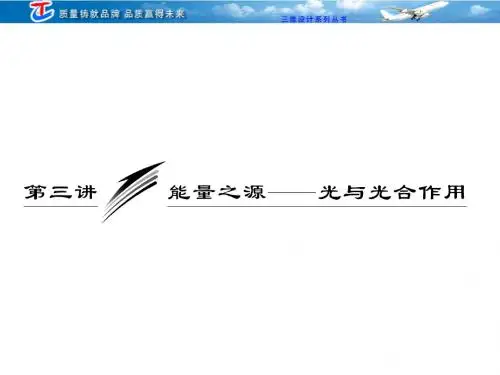 三维设计高中生物必修①  第四单元  第3讲  能量之源——光与光合作用