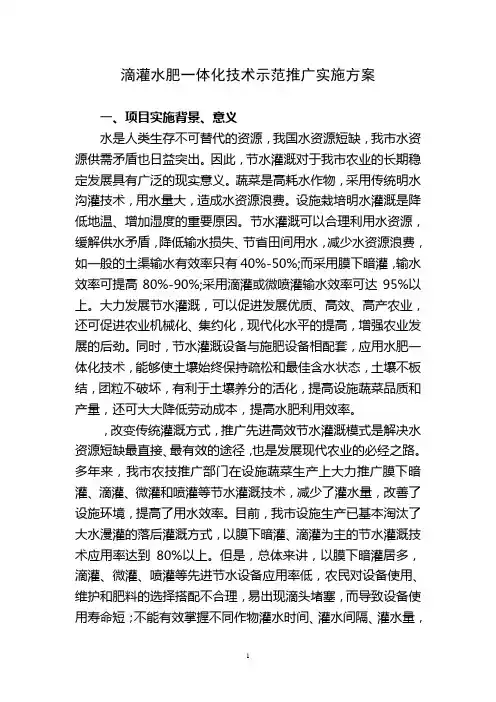 滴灌水肥一体化技术示范推广实施方案