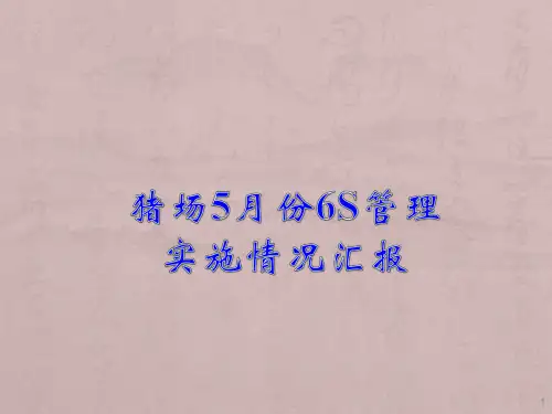 猪场6S管理ppt课件