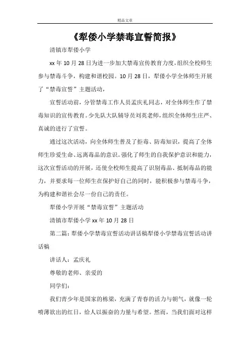 《犁倭小学禁毒宣誓简报》