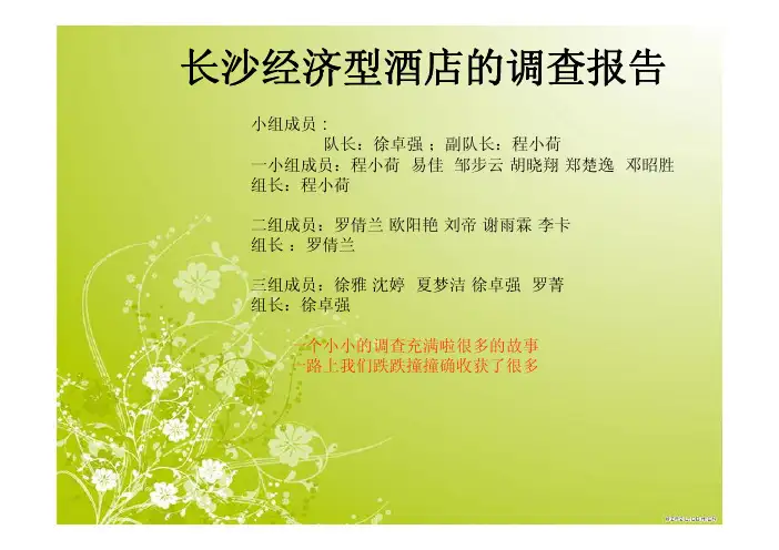 长沙经济型酒店的调查报告