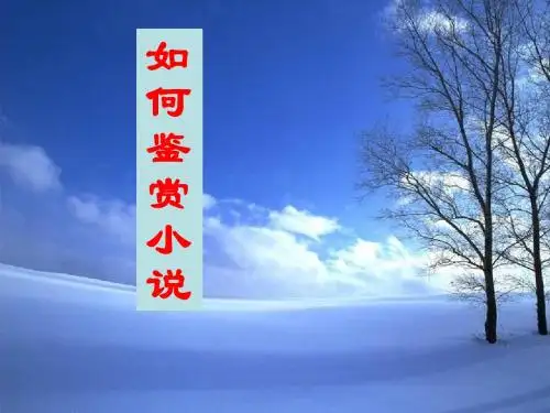 小说基础知识