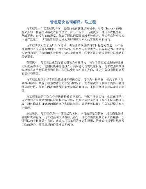 管理层次名词解释马工程