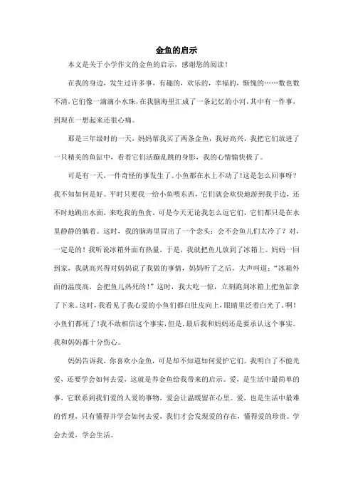 金鱼的启示_小学作文