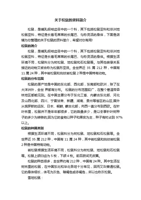 关于松鼠的资料简介
