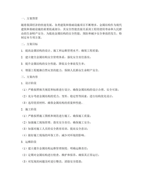 金属结构安全专项方案