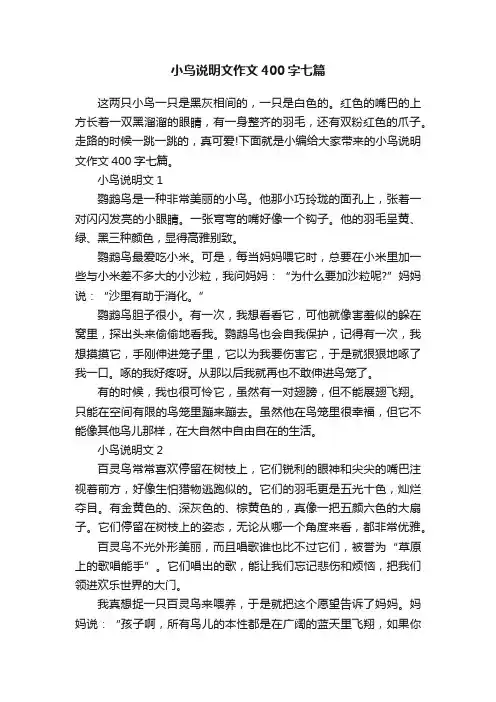小鸟说明文作文400字七篇