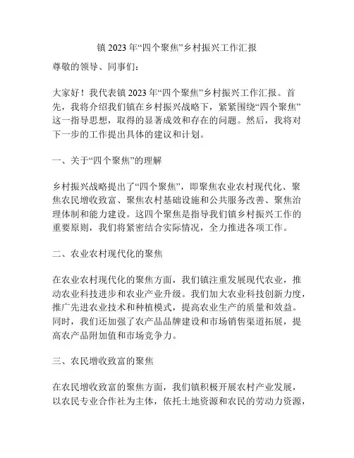 镇2023年“四个聚焦”乡村振兴工作汇报