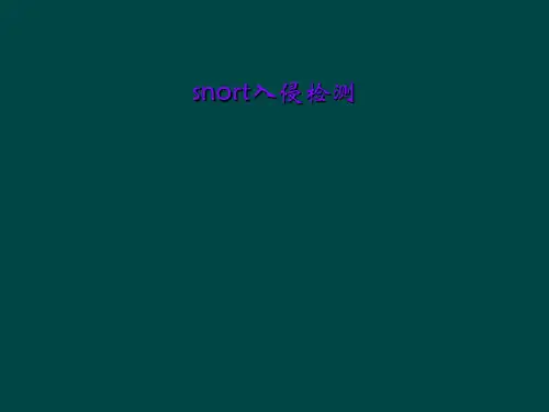 snort入侵检测