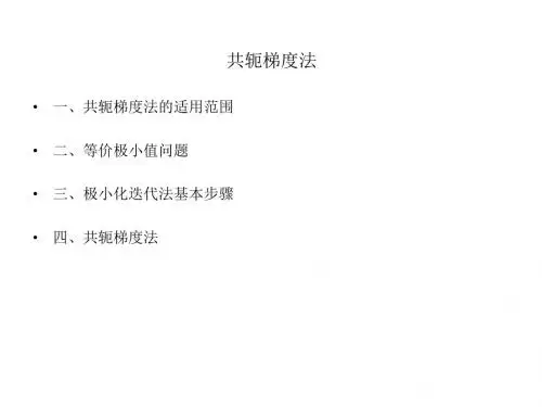 共轭梯度法(讲稿)3.