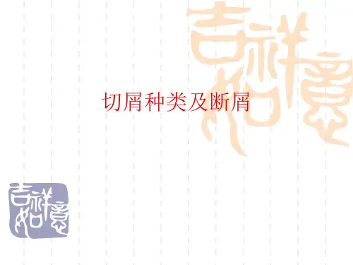 切屑种类及断屑
