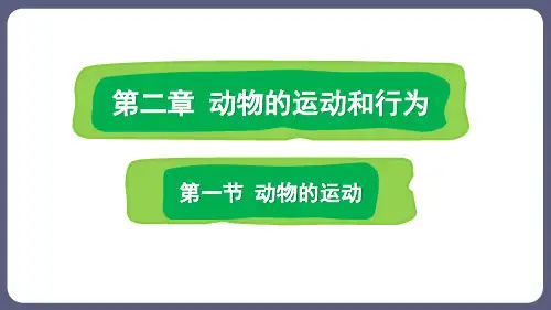人教版生物八年级上册5.2.1《动物的运动》课件