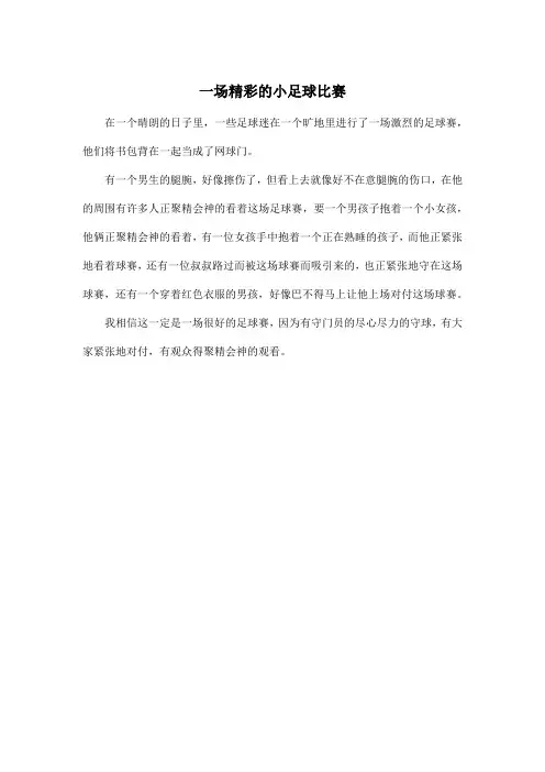 一场精彩的小足球比赛_小学四年级作文200字