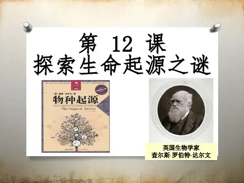 人教版高中历史必修三第四单元第12课探索生命起源之谜课件(共24张PPT)
