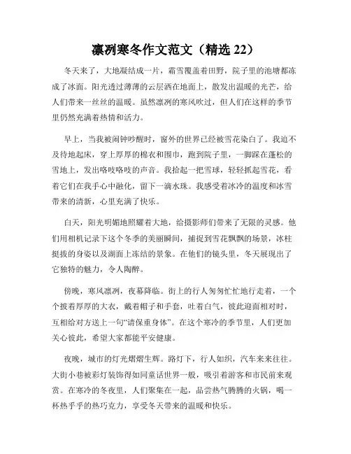 凛冽寒冬作文范文(精选22)