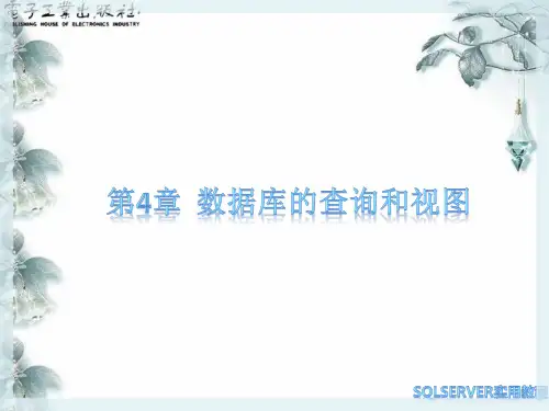 数据库的查询和视图