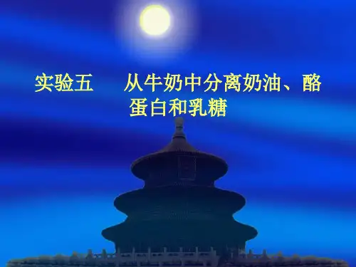 酪蛋白的制备