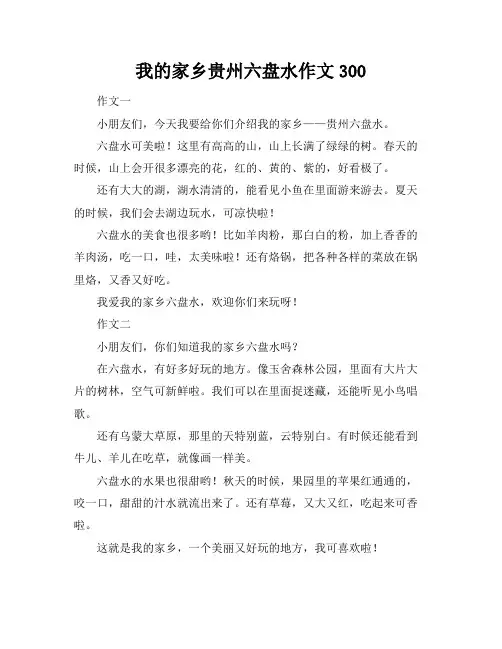 我的家乡贵州六盘水作文300