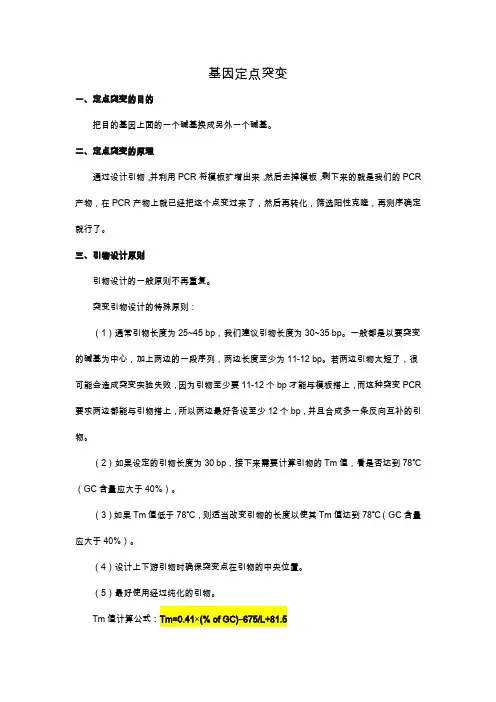 构建点突变质粒步骤