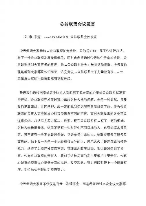 公益联盟会议发言
