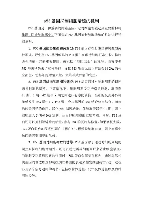 p53基因抑制细胞增殖的机制
