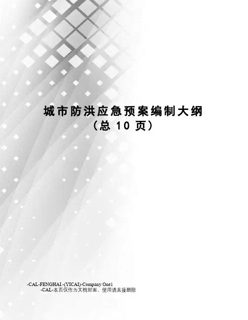 城市防洪应急预案编制大纲