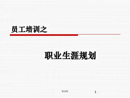 《职业生涯管理》ppt课件