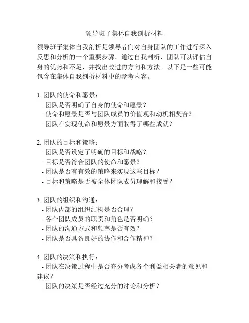 领导班子集体自我剖析材料