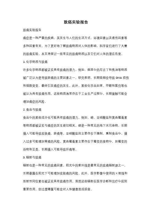致癌实验报告