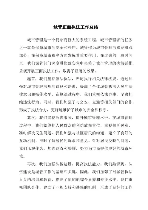 城管正面执法工作总结