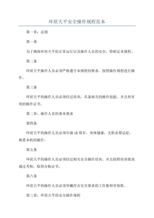 环状天平安全操作规程范本