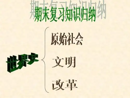 北师大八年级下册期末世界历史复习
