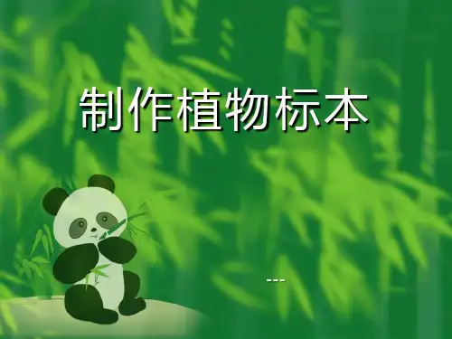 人教版科学四年级上册《制作植物标本》ppt-课件