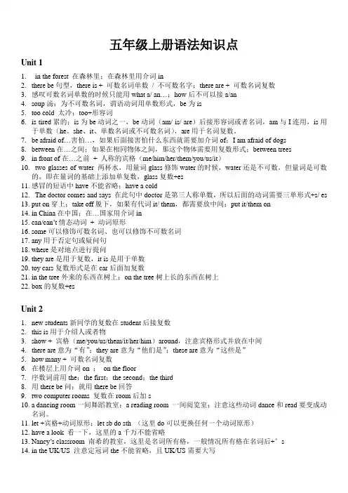 译林英语 五年级上册简易语法 知识点
