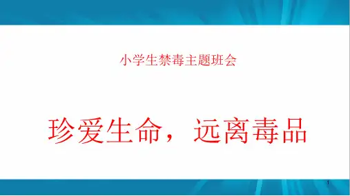 小学生禁毒主题班会PPT课件