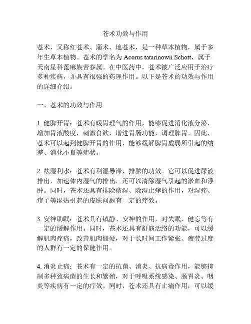 苍术功效与作用