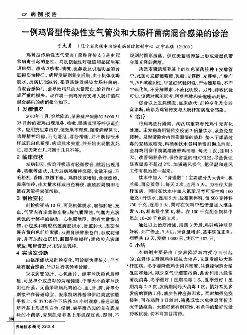 -例鸡肾型传染性支气管炎和大肠杆菌病混合感染的诊治