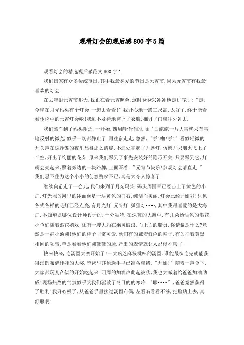 观看灯会的观后感800字5篇