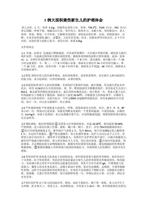 1例大面积烫伤新生儿的护理体会