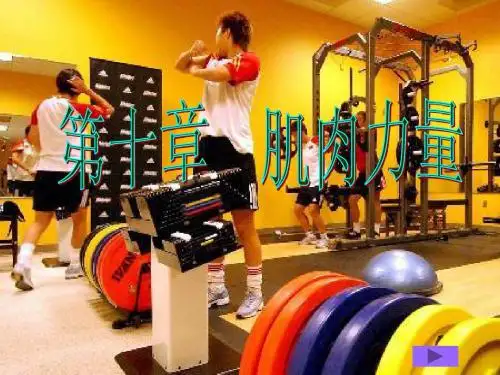 运动生理学10