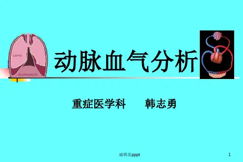 动脉血气分析.ppt精选课件