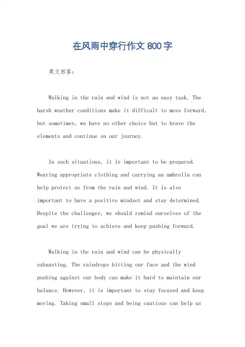 在风雨中穿行作文800字