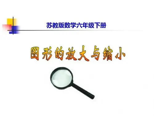 苏教版六年下《图形的放大与缩小