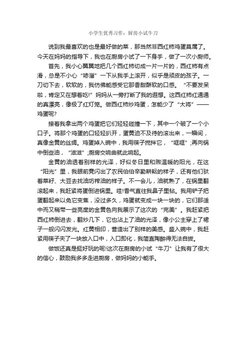 小学生优秀习作：厨房小试牛刀