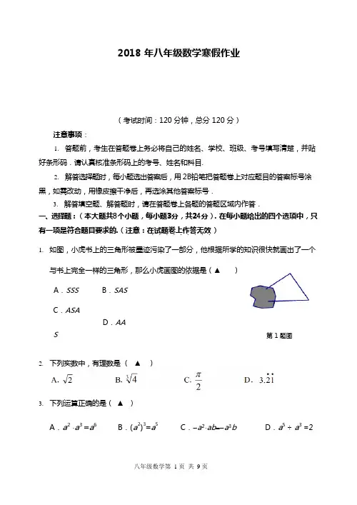八年级 上册 数学寒假作业试题(含答案解析)