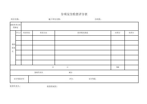 分项安全检查评分表